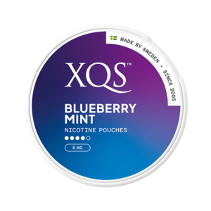 XQS Blueberry Mint Slim Strong